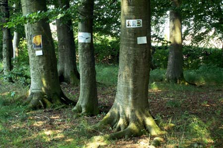 ichanders-schlosspark-gottesgabe-14