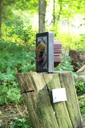 ichanders-schlosspark-gottesgabe-21