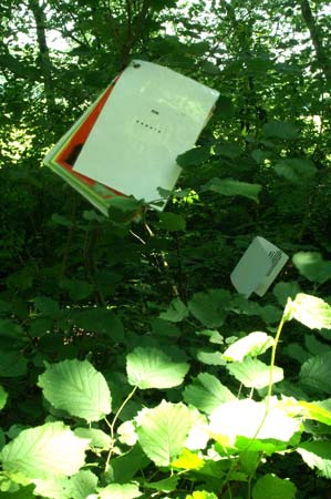 ichanders-schlosspark-gottesgabe-28