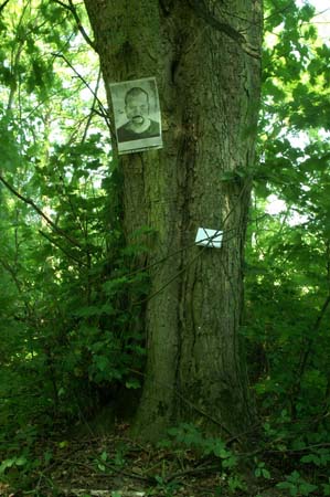 ichanders-schlosspark-gottesgabe-29