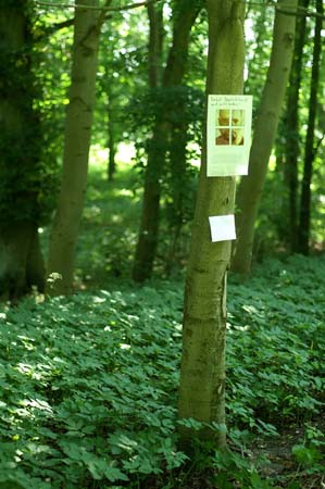 ichanders-schlosspark-gottesgabe-33