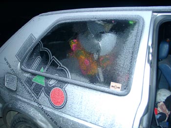 auch der von allen bekannte venty wurd stets vom Ofen transportiert