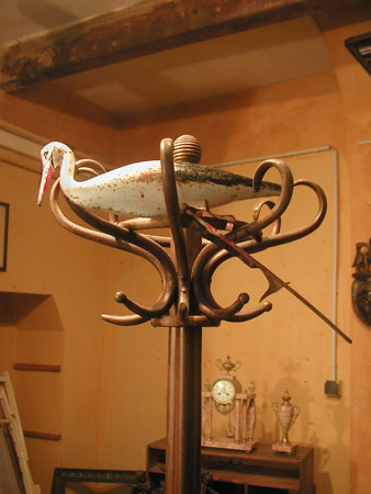 Storch